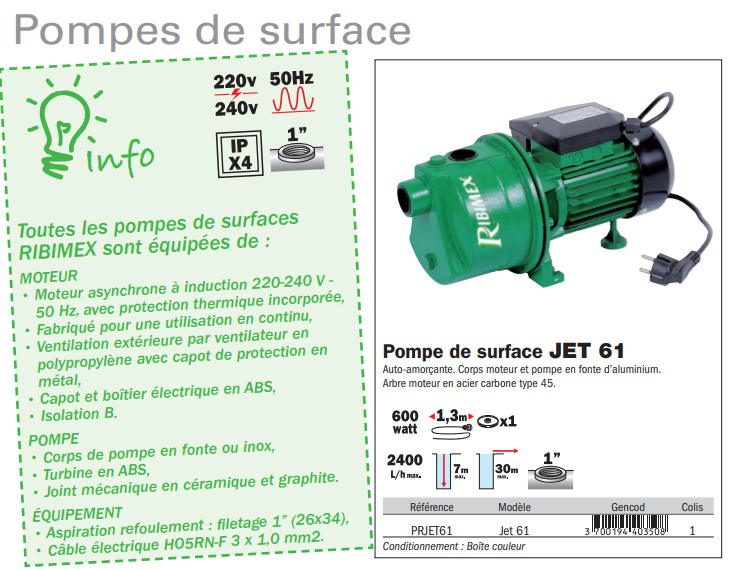 RIBIMEX Pompe à eau de surface Surpresseur SURJET61 19L 600W