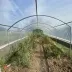 Serre 4 saisons avec aérations - largeur 3m - 13 à 36m² 