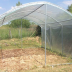 Abri tomates à pieds droits - largeur 3m - 9 à 27m²