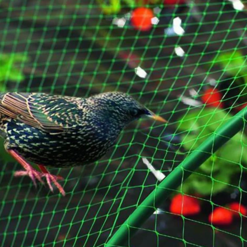Filet anti-oiseaux 12gr/m² vert - Maille 25x25mm - à la coupe