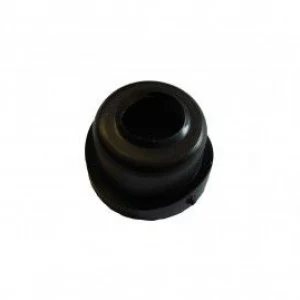 Cuvette - 3/8