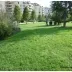 Semence pour grands espaces - Enherbement