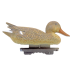 Canard Colvert décoratif