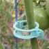 Clip biodégradable pour tomates - Ø22mm