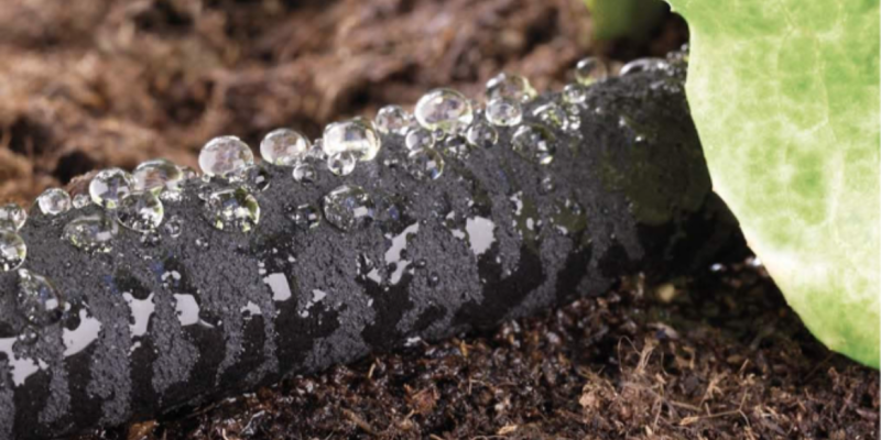 Comment choisir votre arrosage goutte à goutte ?