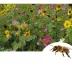Jachère de fleurs mellifères - 400g