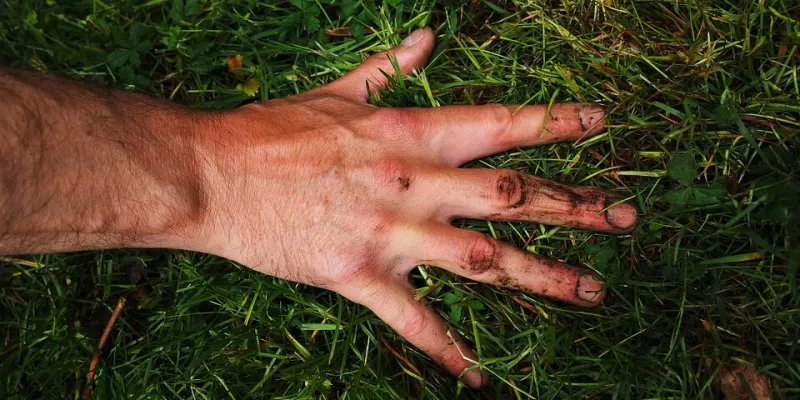 Comment identifier le type de terre de votre jardin ?