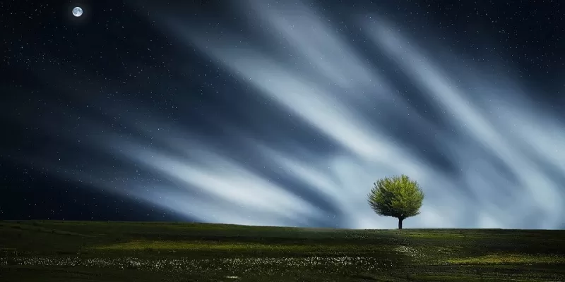 Comment jardiner avec la lune ?
