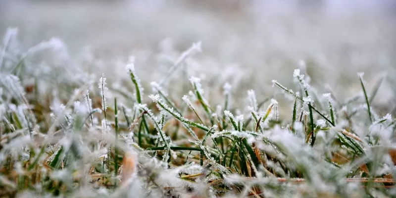 Entretenir le gazon en hiver