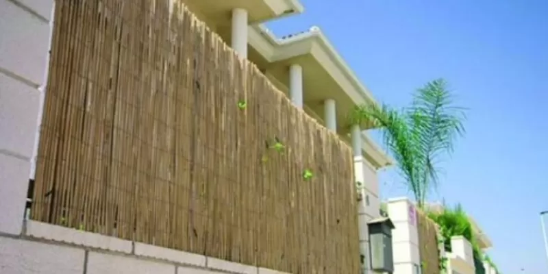 Comment choisir et installer un brise-vue naturel ?