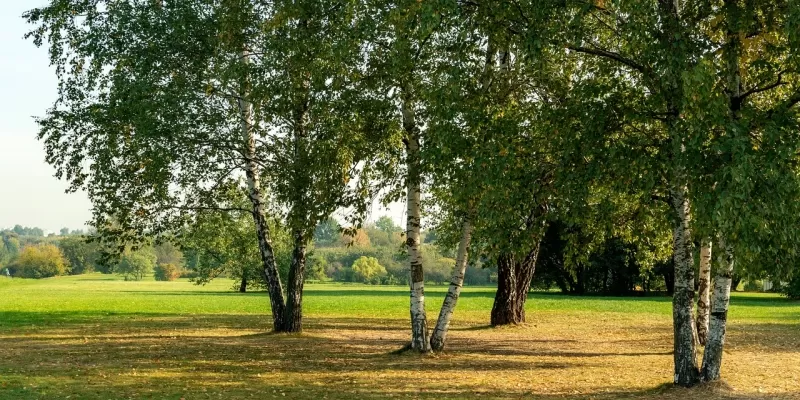 L’aménagement du jardin en septembre et octobre