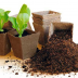 Pot carré biodégradable en tourbe - 6 à 8 cm - Jiffy