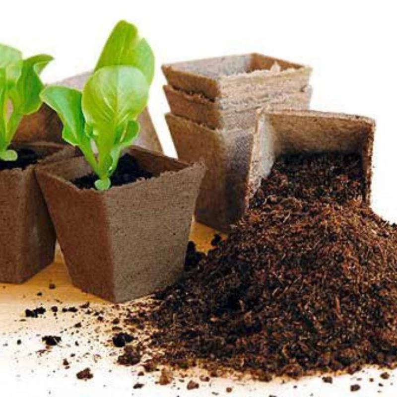 Pot carré biodégradable en tourbe - 6 à 8 cm - Jiffy