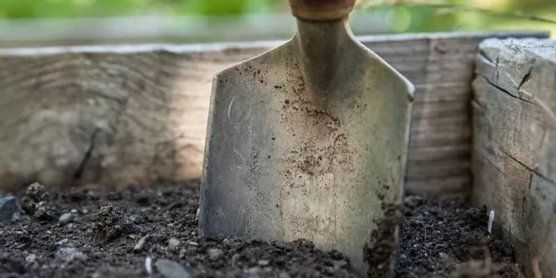 Quels sont les outils indispensables pour préparer son jardin ?