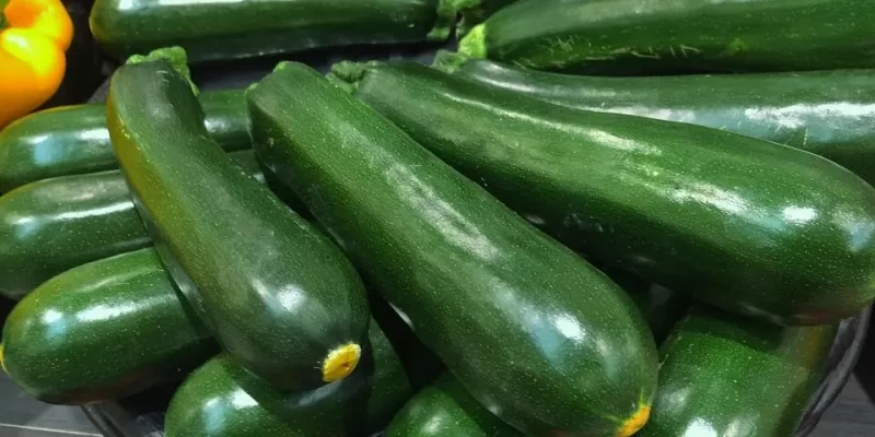 Tout savoir sur la courgette