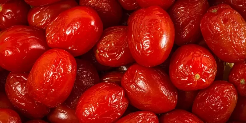 Tout savoir sur le goji