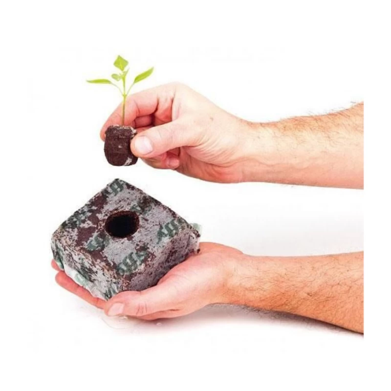 Cube de tourbe compressé pour semis – Growblock