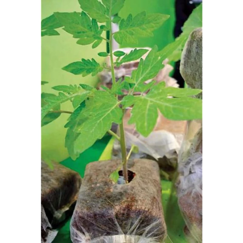 Cube de tourbe compressé pour semis – Growblock