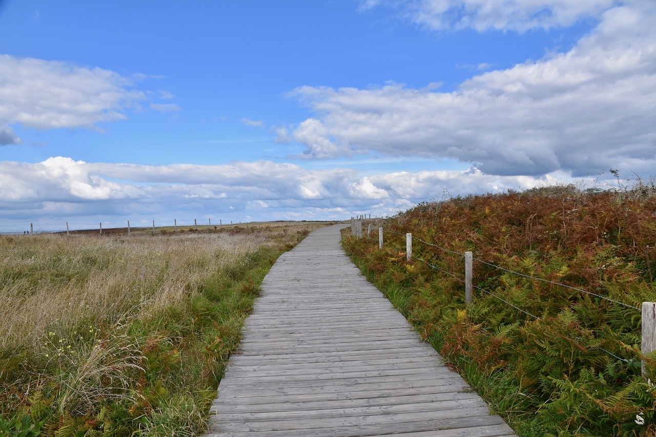 Faire une allée en bois