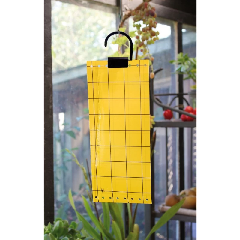 Feuilles de glue jaune contre mouches et aleurodes