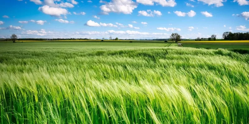 Tout savoir sur le régénérateur du sol