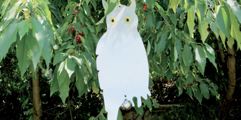 Faire fuir les oiseaux
