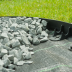 Bordures à gazon en polypropylène recyclé avec piquets - L. 4x1m