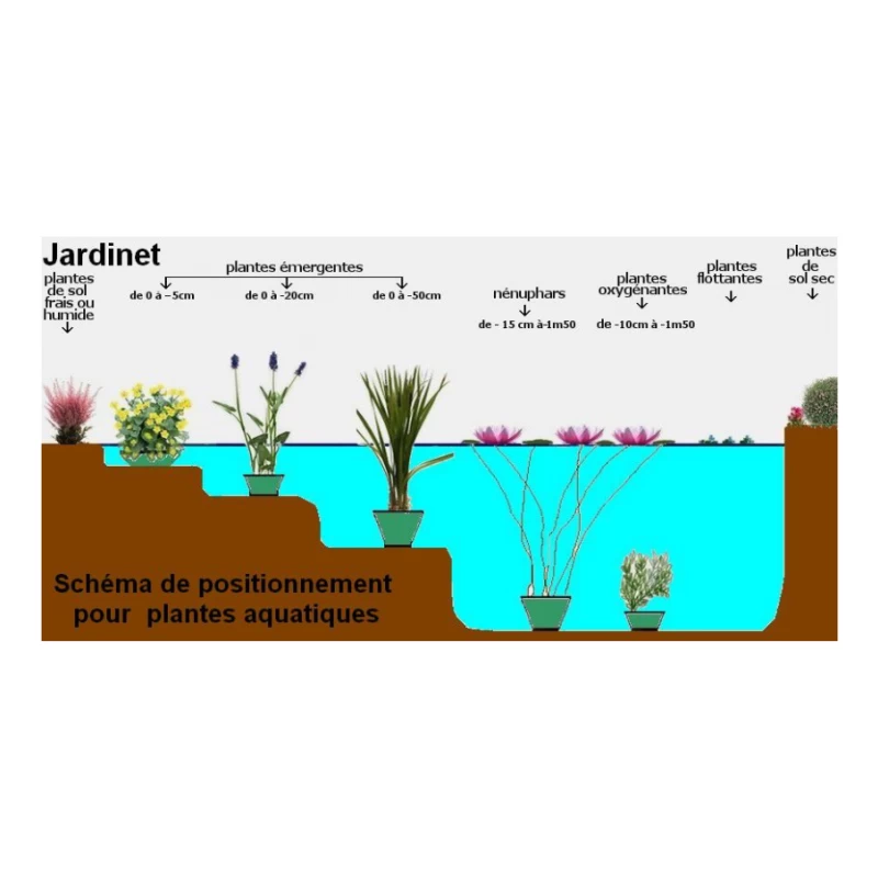 Panier pour plante de bassin - rond