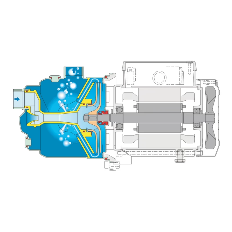 Pompe de surface autoamorçante inox NGX Triphasée - Calpeda