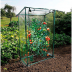 Serre à tomates - L: 100 l: 50 h: 150cm - 0.50m² 