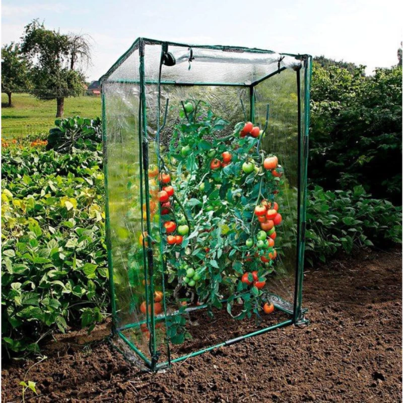 Serre à tomates - L: 100 l: 50 h: 150cm - 0.50m² 