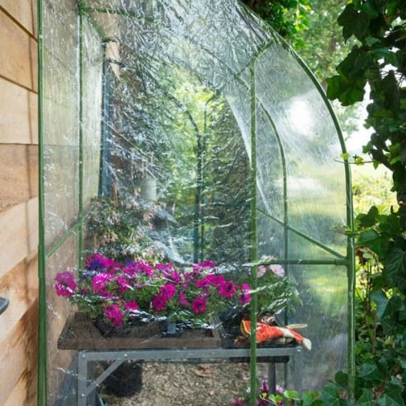 Serre de jardin murale - L: 200 l: 100 h: 215cm - 2m² 