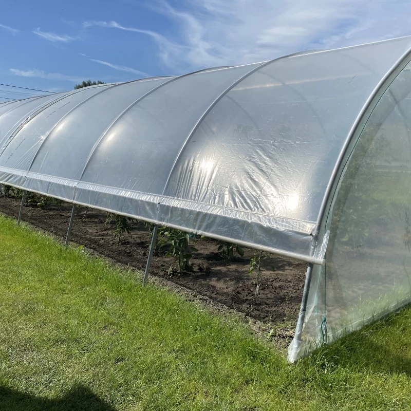Serre Super avec aérations - largeur 5,80m - 34 à 69m²
