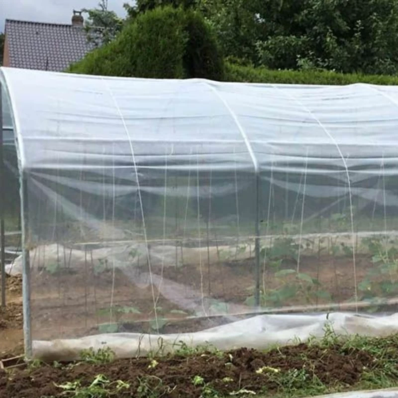 Abri tomates à pieds droits - largeur 3m - 9 à 27m²