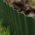 Bordure PVC ondulée verte - L. 9m