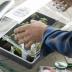 Couvercle pour terrine de semis