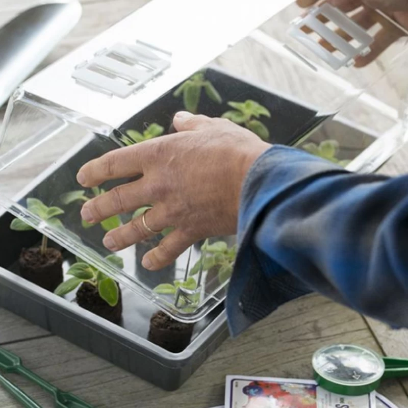 Couvercle pour terrine de semis