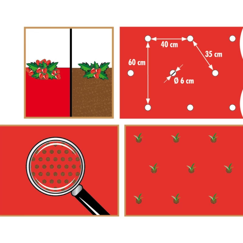 Film de paillage pour Fraises 25µ - l. 0,95m - L. 5 ou 10m