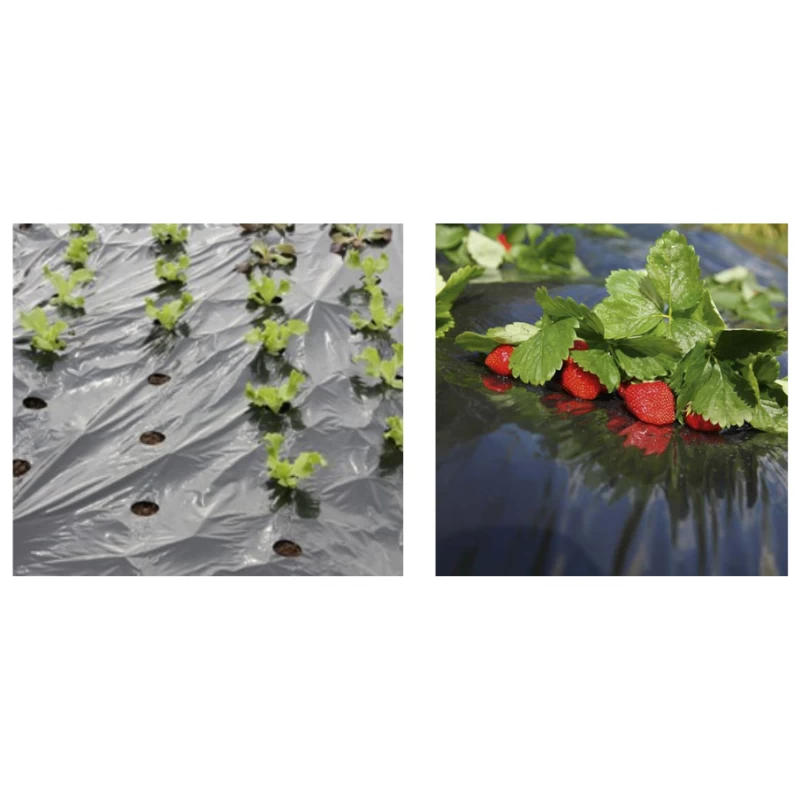 Film de paillage pour potager 16 trous - 1,50 x 1000m