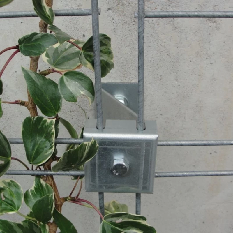 Grille de support en acier galvanisé pour plante grimpante