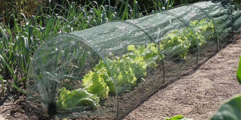 Les accessoires au potager