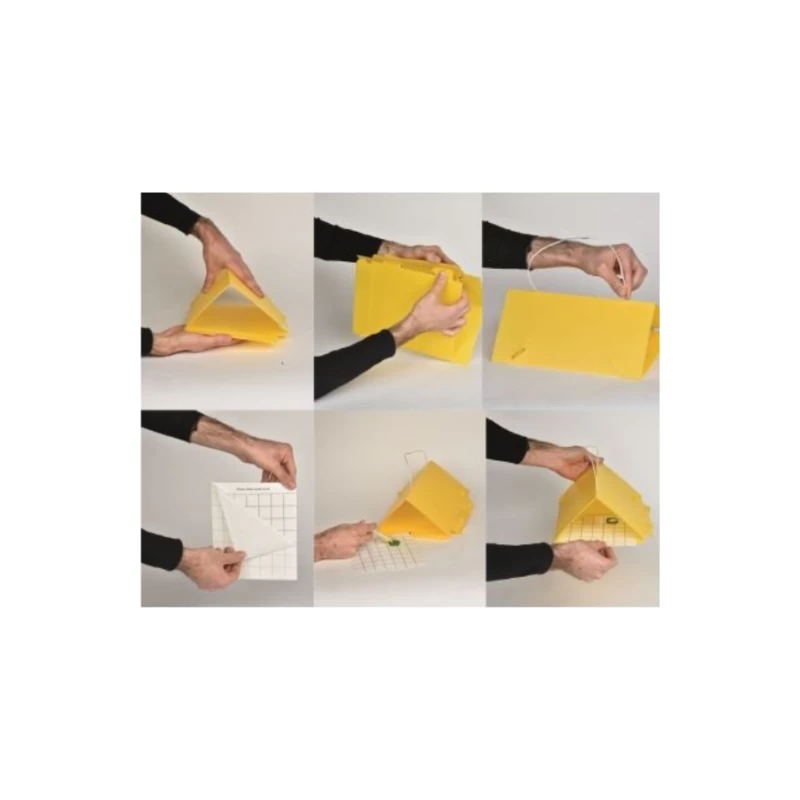 Recharge Delta Trap jaune de 3 plaques de glue - Bioassays
