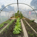 Serre abri légumes - largeur 4m - 24 à 48m²