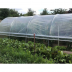 Serre Mini avec aération - Largeur 3,7m - 16 à 44m² 