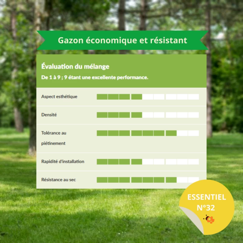 Gazon rustique Sol sec et argileux - N°32