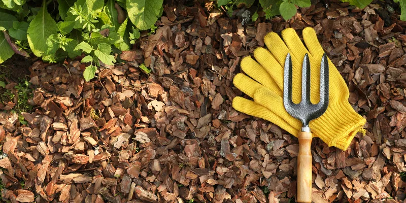 Préparer l’hiver au jardin