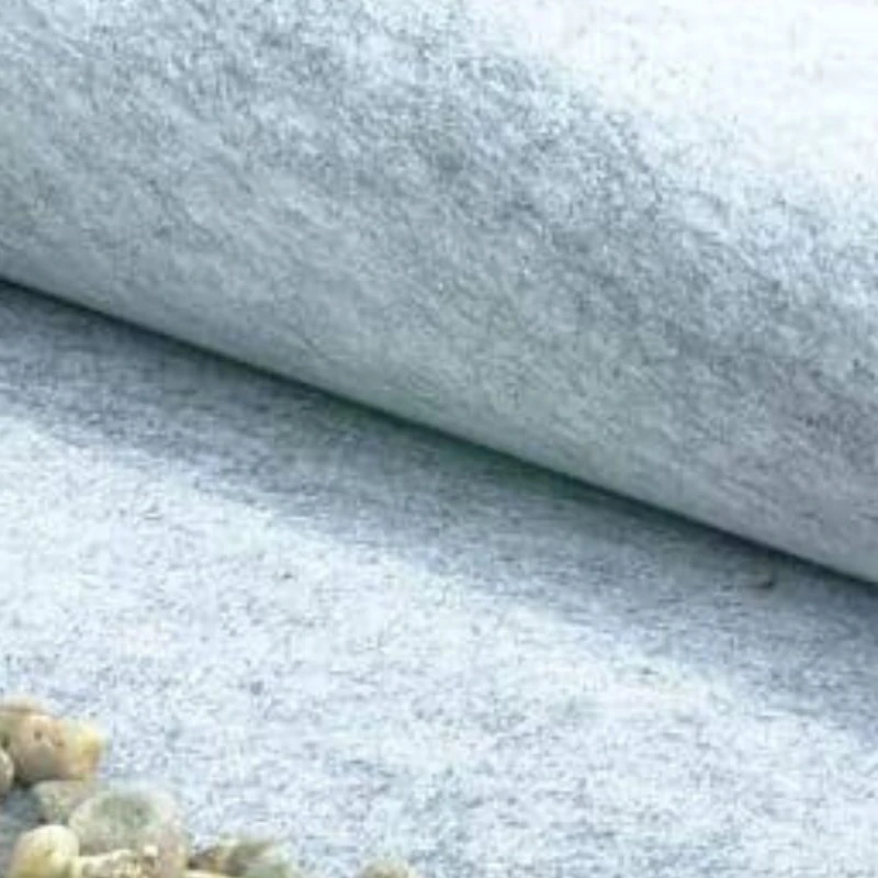 Géotextile 155g/m² Asqual classe 4 Terram - Rouleau de 100m