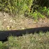Barrière anti racines et rhizomes 564gr/m² Georoot - à la coupe
