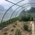 Serre Super avec aérations - largeur 5,80m - 34 à 69m²