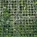 Mur végétal artificiel - Equatorial - 1m x 1m